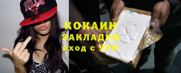 индика Вяземский