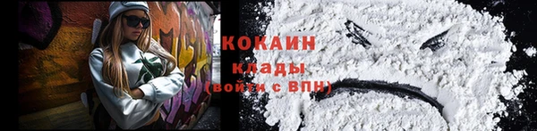 индика Вяземский