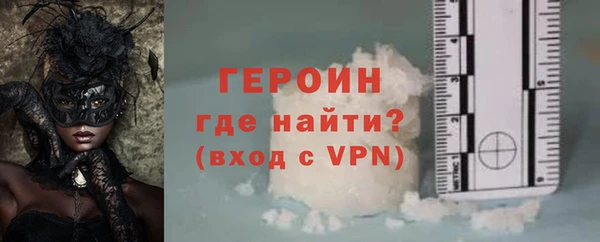 индика Вяземский