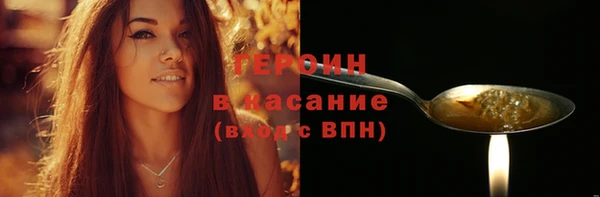 индика Вяземский