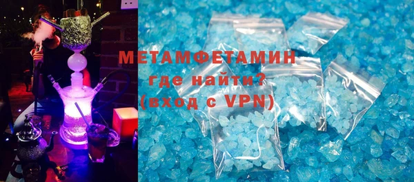 индика Вяземский