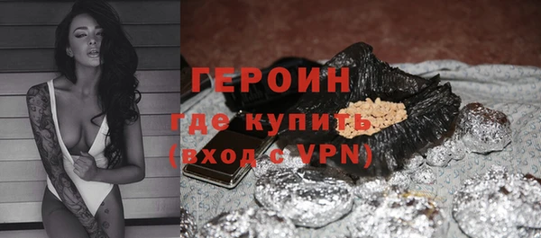 индика Вяземский