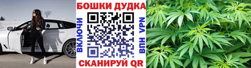 Купить закладки  Нерчинск  Марихуана план 